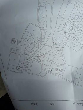 Real Estate Company